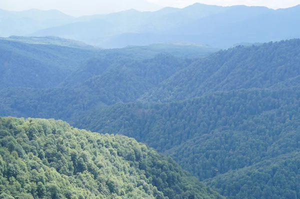 El majestuoso paisaje montañoso de la Reserva Natural del Cáucaso —  Fotos de Stock