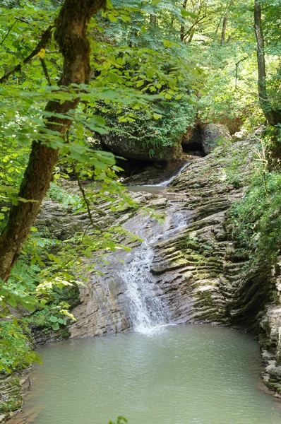 El majestuoso paisaje montañoso de la Reserva Natural del Cáucaso —  Fotos de Stock