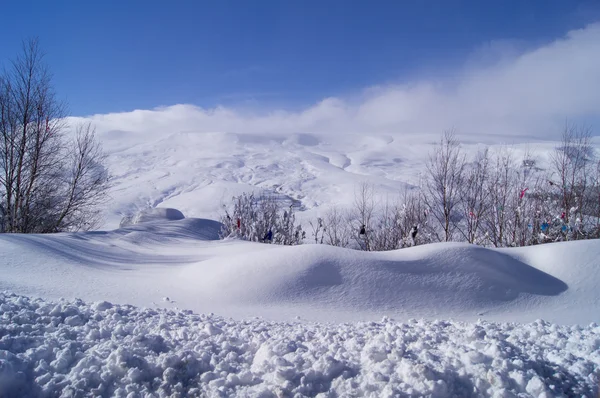 Kafkasya tabiatı görkemli dağ manzarası — Stok fotoğraf