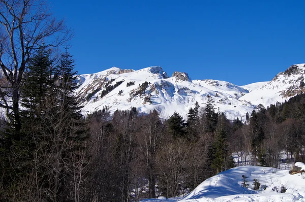 Det majestätiska bergslandskapet i naturreservatet Kaukasus — Stockfoto