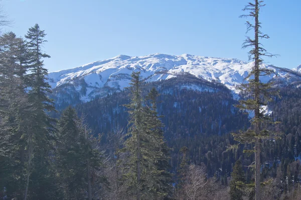 Il maestoso scenario montano della Riserva Naturale del Caucaso — Foto Stock