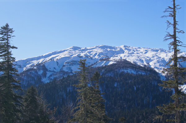 The majestic mountain scenery of the Caucasus Nature Reserve