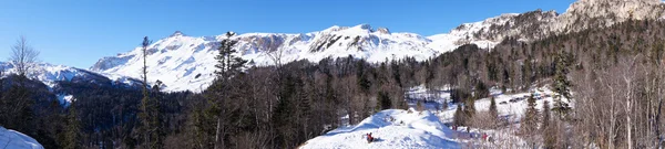 Majestátní horské scenérie přírodní rezervace Kavkaz — Stock fotografie