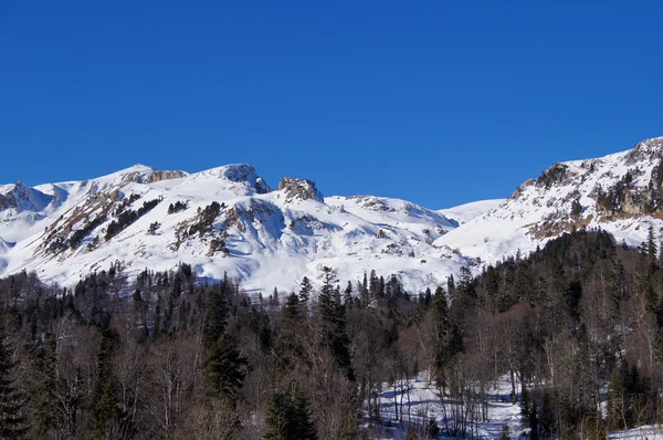 A majestosa paisagem montanhosa da Reserva Natural do Cáucaso — Fotografia de Stock