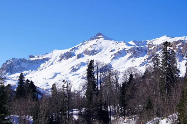 The majestic mountain scenery of the Caucasus Nature Reserve — Stock Photo, Image