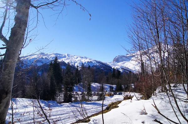 A majestosa paisagem montanhosa da Reserva Natural do Cáucaso — Fotografia de Stock