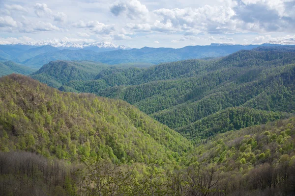 コーカサス自然保護区の雄大な山の風景 ストックフォト