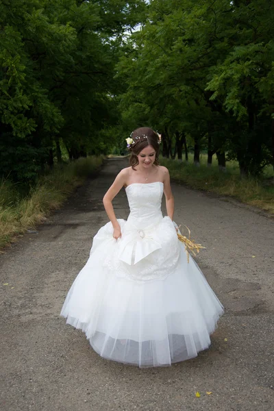 Hermosa novia el día de la boda —  Fotos de Stock