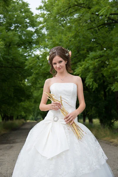 Vackra brud på bröllopsdagen — Stockfoto