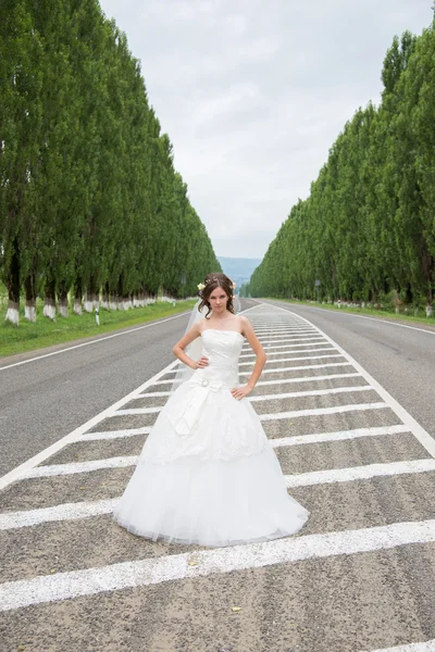 Hermosa novia el día de la boda —  Fotos de Stock