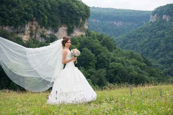 Hermosa novia el día de la boda —  Fotos de Stock