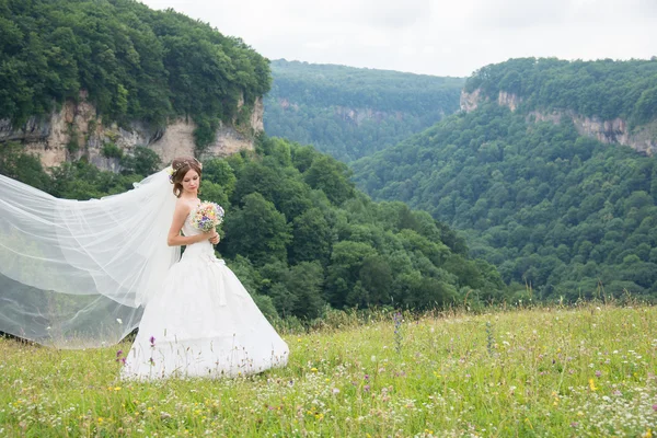 Hermosa novia el día de la boda —  Fotos de Stock