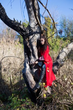 Doğanın kucağında bir kırmızı pelerin kız