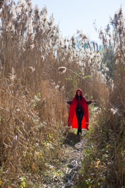 Doğanın kucağında bir kırmızı pelerin kız