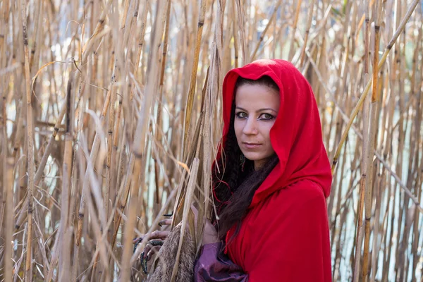 Menina em um manto vermelho no colo da natureza — Fotografia de Stock
