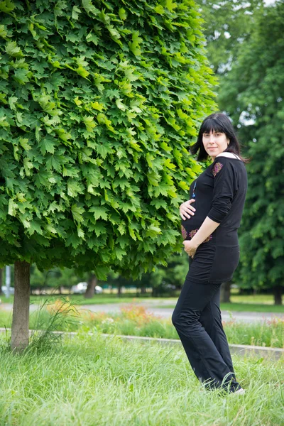 La ragazza incinta in passeggiata — Foto Stock