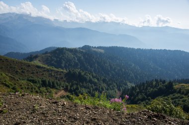 Güzel ve görkemli dağlar Kafkasya doğa rezerv