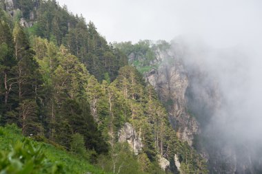 Kafkas rezervin görkemli dağ