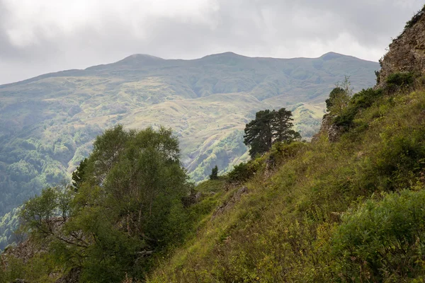 Mooi en majestueuze bergen van het natuurreservaat van de Kaukasus — Stockfoto