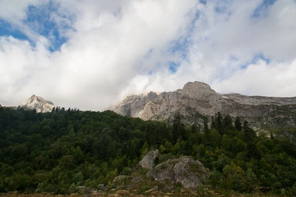 Majestuosa montaña de la reserva caucásica — Foto de Stock