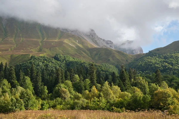 Montagna maestosa della riserva caucasica — Foto Stock