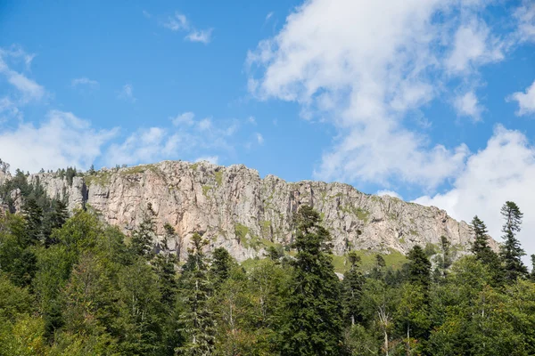 Vackra bergslandskapet i naturreservatet Kaukasus — Stockfoto