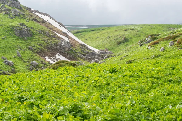 Wunderschöne Berglandschaft des Kaukasus-Naturschutzgebietes — Stockfoto