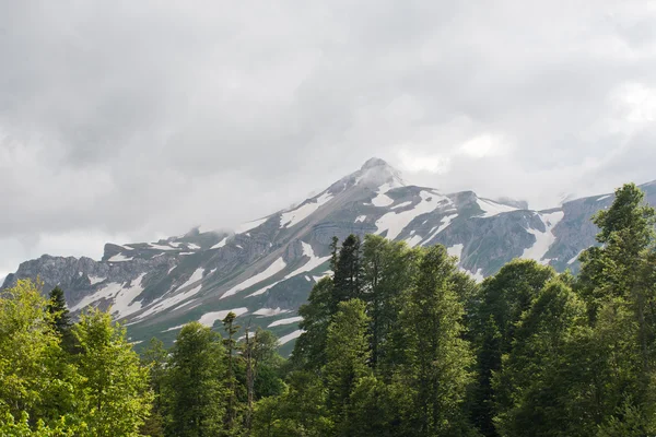 Majestueuse montagne de la réserve caucasienne — Photo