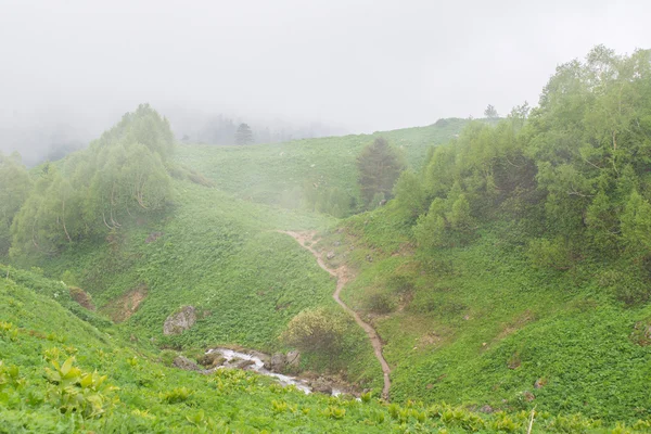 Majestuosa montaña de la reserva caucásica — Foto de Stock