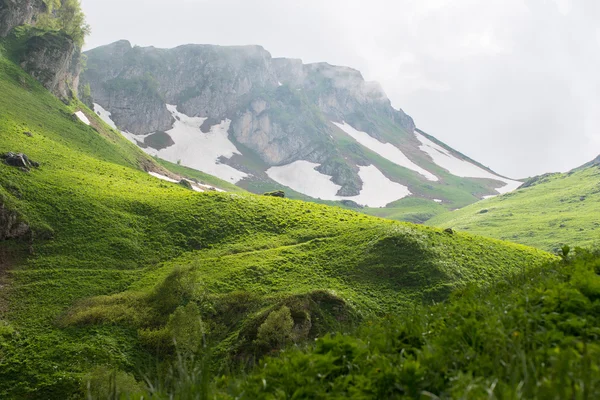 Majestuosa montaña de la reserva caucásica — Foto de Stock