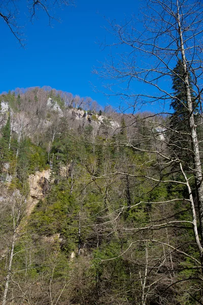 Vackra bergslandskap — Stockfoto