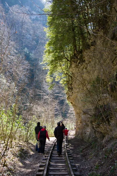 美しい山の風景 — ストック写真