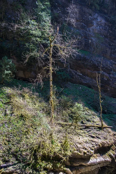 美しい山の風景 — ストック写真