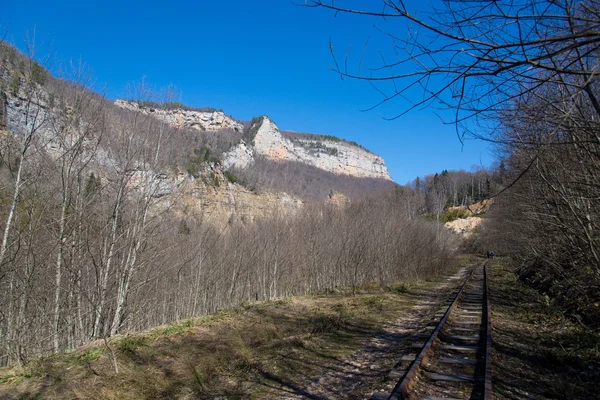 Beau paysage de montagne — Photo