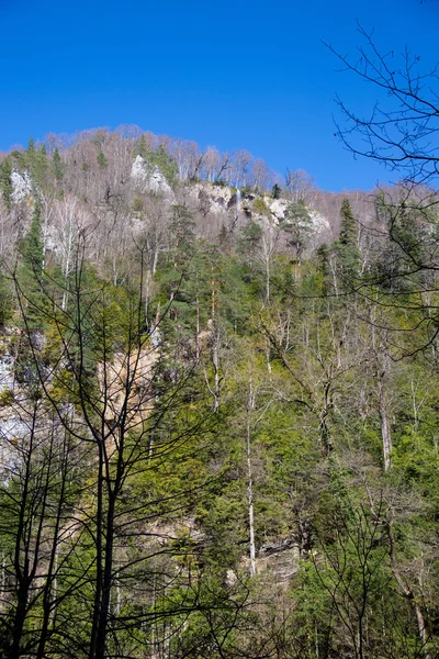 Hermoso paisaje de montaña —  Fotos de Stock