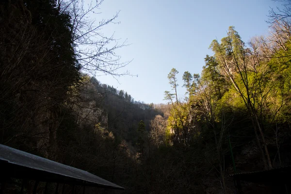 美しい山の風景 — ストック写真