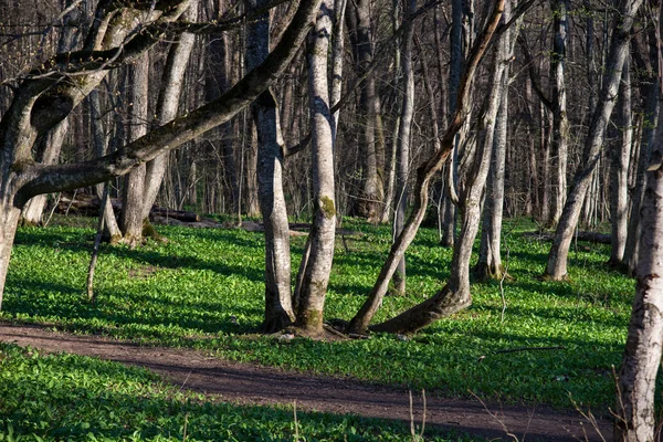 Vackra bergslandskap — Stockfoto