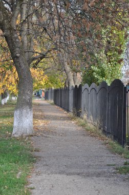 Kuzeybatı Kafkasya Tarih antik Botanik Bahçesi