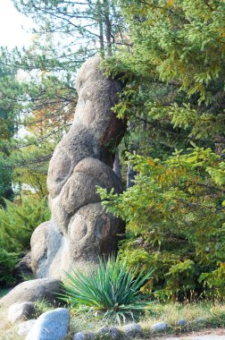 Kuzeybatı Kafkasya Tarih antik Botanik Bahçesi