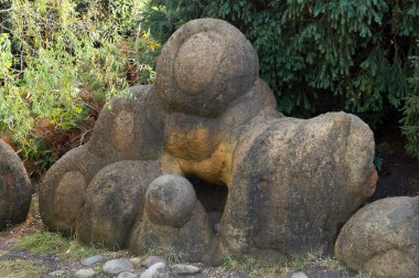 Kuzeybatı Kafkasya Tarih antik Botanik Bahçesi