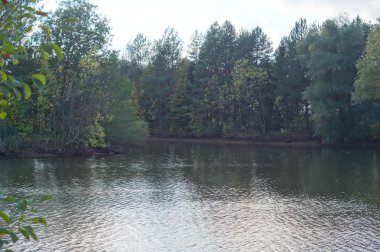 Kuzeybatı Kafkasya Tarih antik Botanik Bahçesi