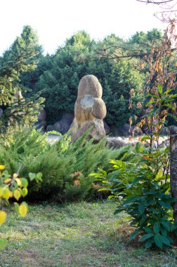 Kuzeybatı Kafkasya Tarih antik Botanik Bahçesi