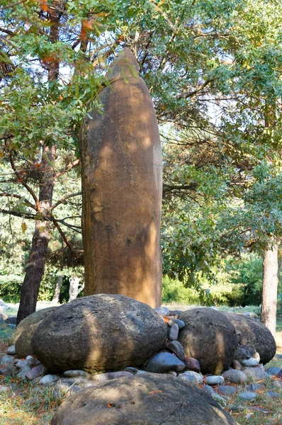 Starożytne arboretum w północno-zachodniej części Kaukazu — Zdjęcie stockowe