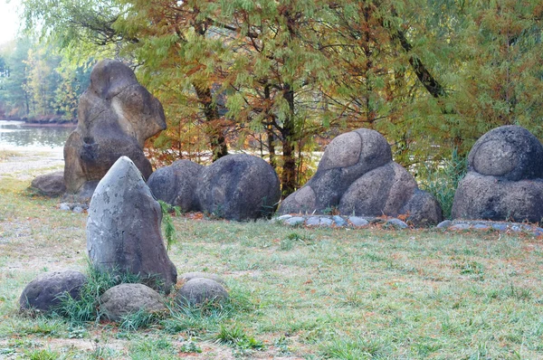 Antika arboretum på nordvästra Kaukasus — Stockfoto