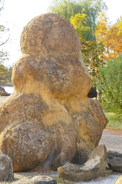 Starożytne arboretum w północno-zachodniej części Kaukazu — Zdjęcie stockowe