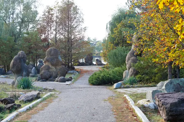 Arboretum im Nordwesten des Kaukasus — Stockfoto