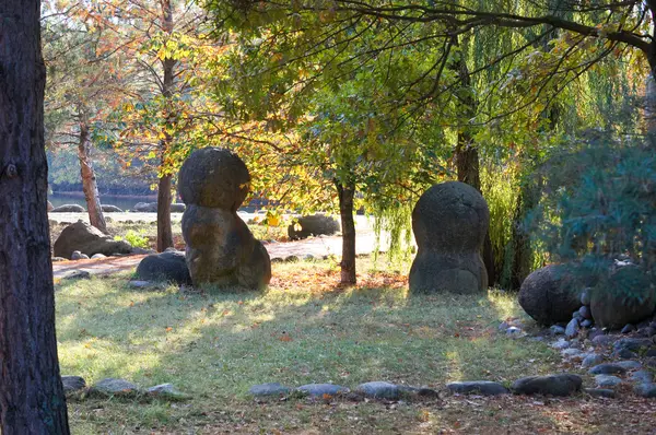 Antika arboretum på nordvästra Kaukasus — Stockfoto