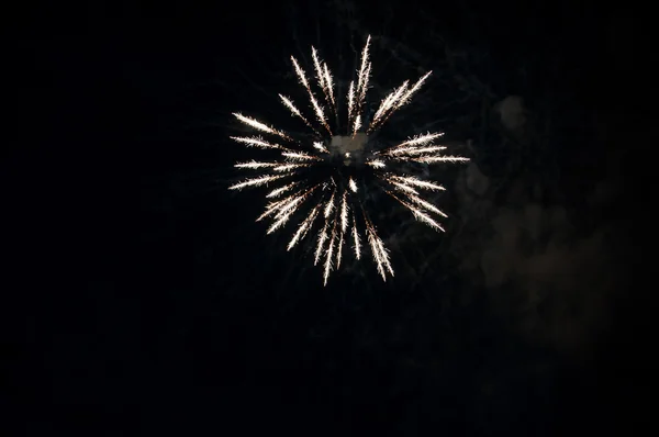 Bright celebratory salute — Stock Photo, Image