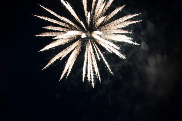 Luminoso saluto celebrativo — Foto Stock