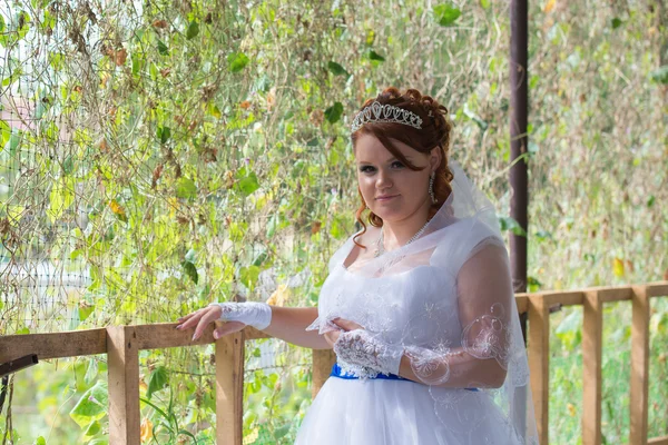 Hermosa novia el día de la boda — Foto de Stock